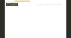 Desktop Screenshot of carlcolsonarchitect.com